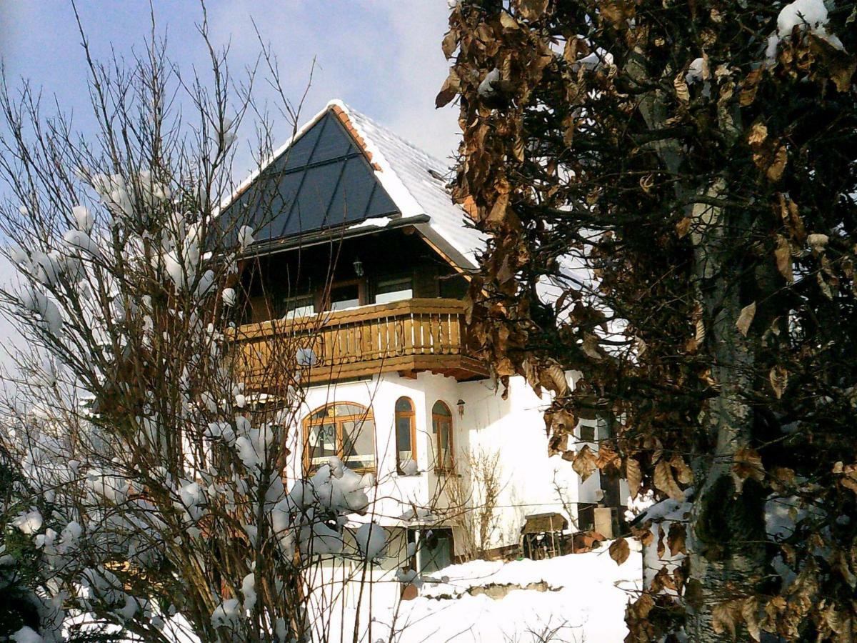 Ferienwohnung Haus Barbara Braunlingen Экстерьер фото